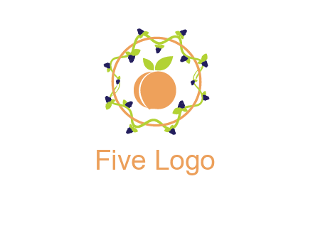 orange in circle with berries logo