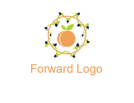 orange in circle with berries logo