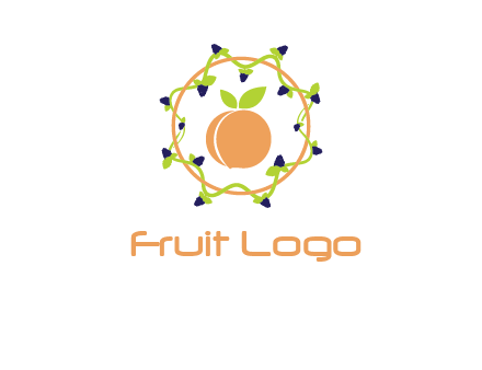 orange in circle with berries logo