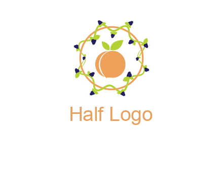 orange in circle with berries logo