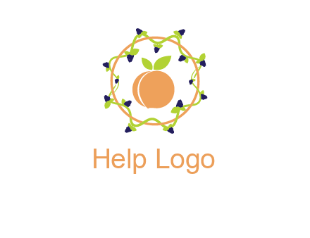 orange in circle with berries logo