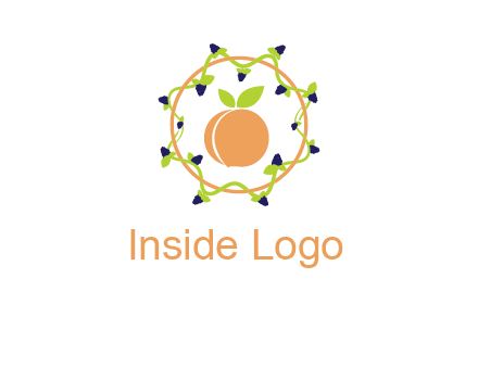 orange in circle with berries logo