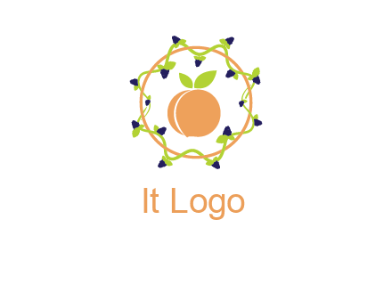 orange in circle with berries logo