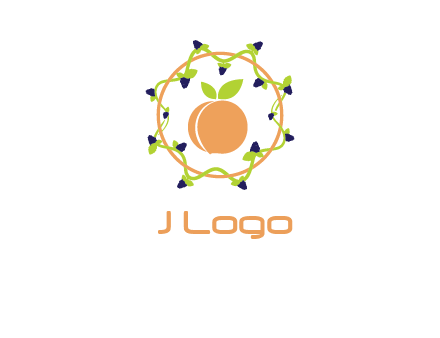 orange in circle with berries logo