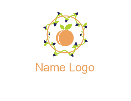 orange in circle with berries logo