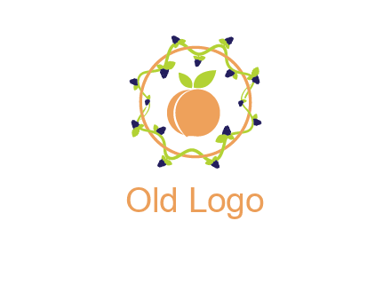 orange in circle with berries logo