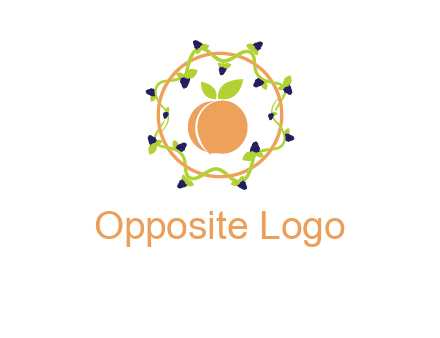 orange in circle with berries logo