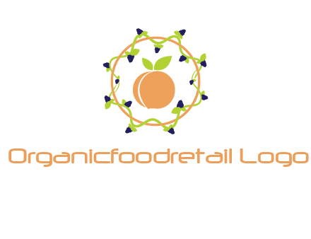 orange in circle with berries logo