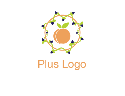 orange in circle with berries logo