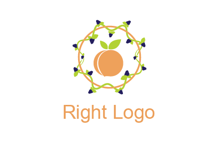 orange in circle with berries logo