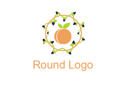 orange in circle with berries logo
