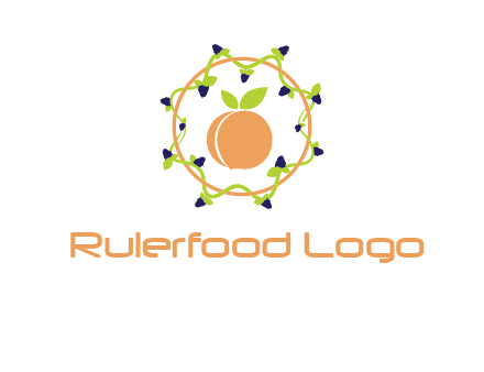 orange in circle with berries logo