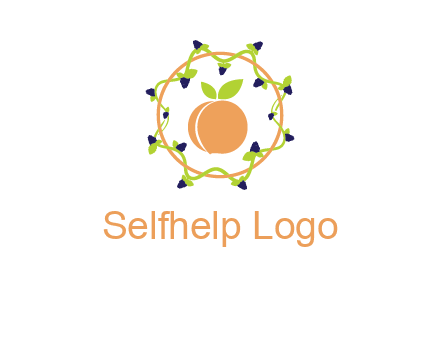 orange in circle with berries logo