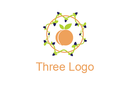 orange in circle with berries logo