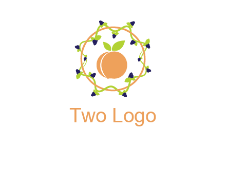 orange in circle with berries logo
