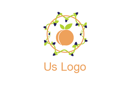 orange in circle with berries logo