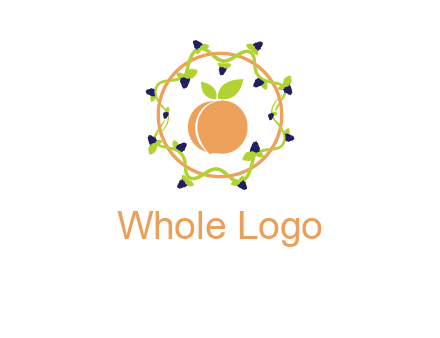 orange in circle with berries logo