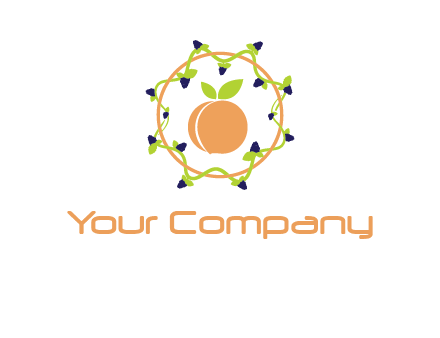 orange in circle with berries logo