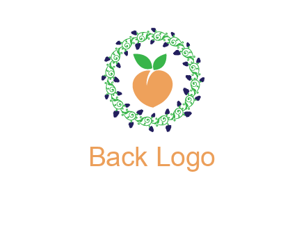 peach fruit ornament vector