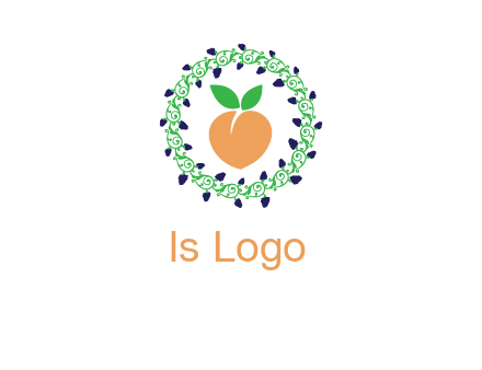 peach fruit ornament vector