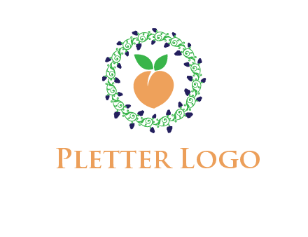peach fruit ornament vector