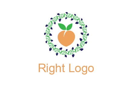 peach fruit ornament vector