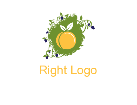 peach and grape icon