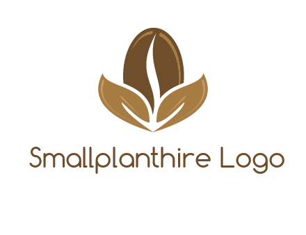coffee bean and leaves logo