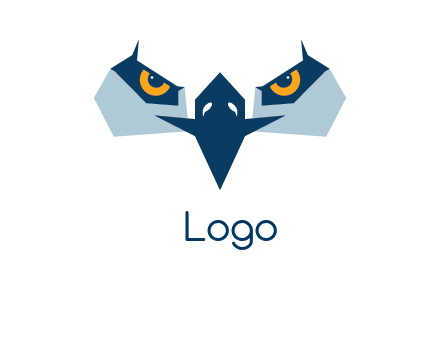 eagle eyes logo