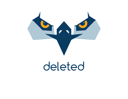 eagle eyes logo