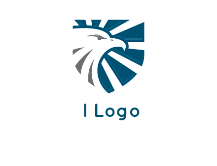 eagle face in shield logo