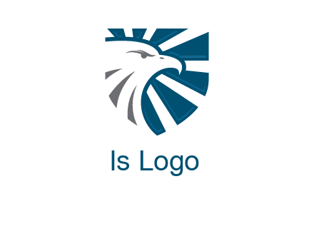 eagle face in shield logo