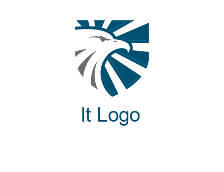 eagle face in shield logo