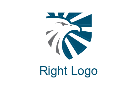 eagle face in shield logo