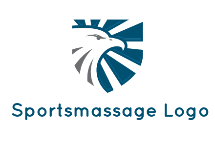 eagle face in shield logo