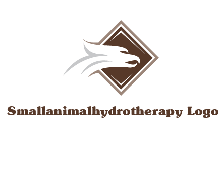 eagle face in rhombus logo