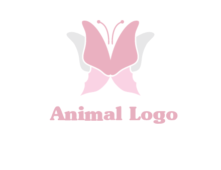 abstract butterfly logo