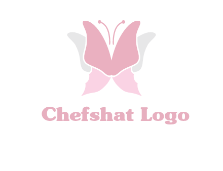 abstract butterfly logo