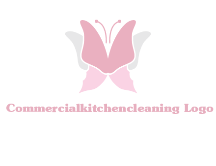 abstract butterfly logo