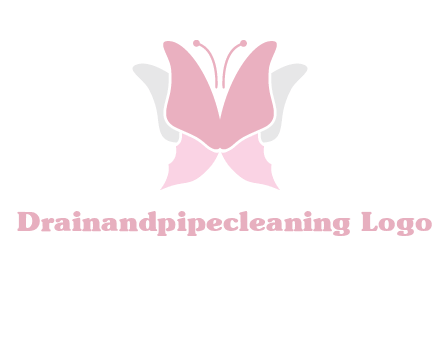 abstract butterfly logo