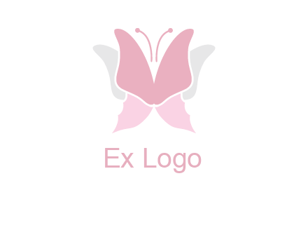abstract butterfly logo
