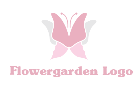 abstract butterfly logo
