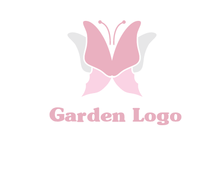 abstract butterfly logo
