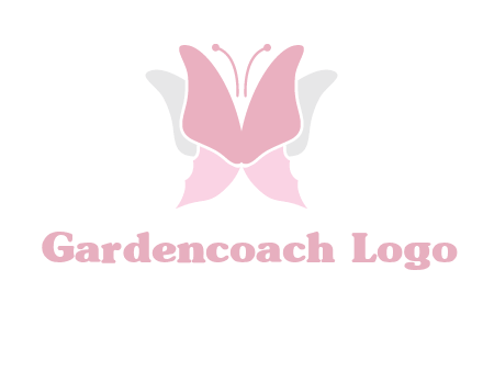 abstract butterfly logo
