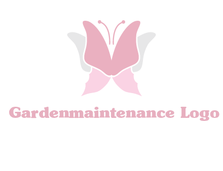 abstract butterfly logo