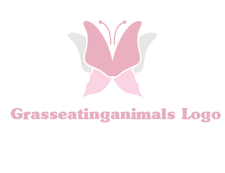 abstract butterfly logo