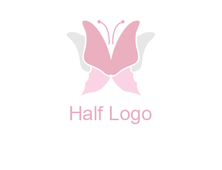 abstract butterfly logo