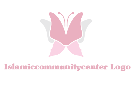abstract butterfly logo