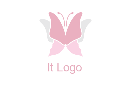 abstract butterfly logo