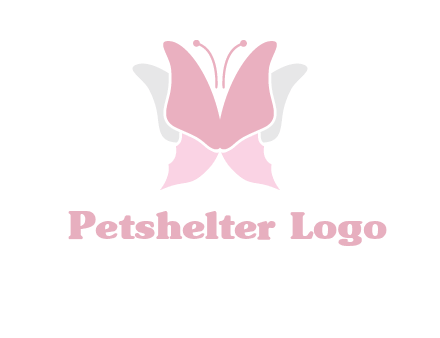abstract butterfly logo